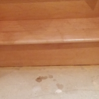 After: Basement flood stained and water damaged the bottom riser of the stairs